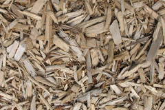 biomass boilers Sheepdrove