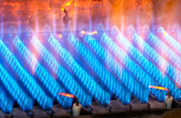Sheepdrove gas fired boilers